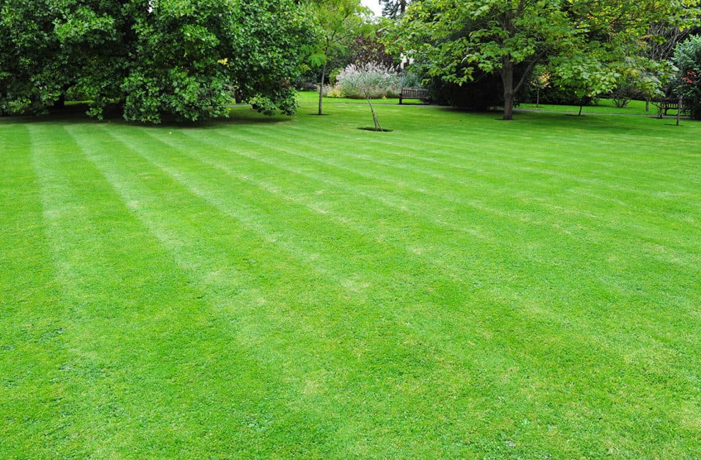 Buying Land in Karen - Prices, Soil Types & What You Must Verify Before Paying